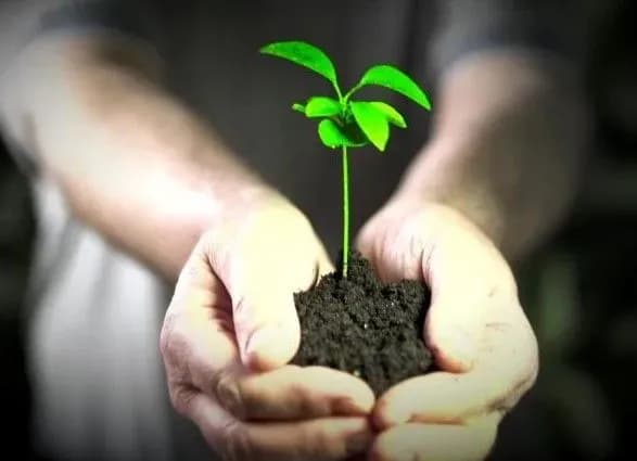 Понад 160 людей загинули, захищаючи природу в минулому році