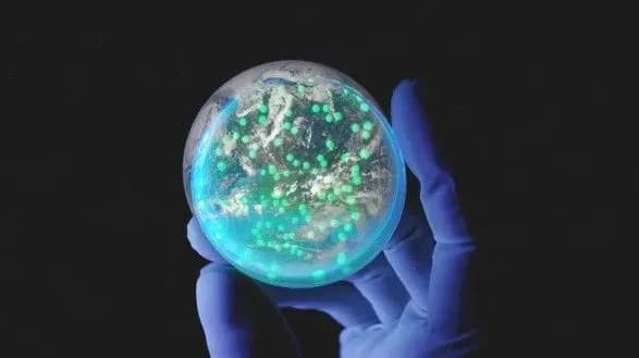 Ізраїль проведе серію наукових експериментів у космосі в співпраці з європейцями