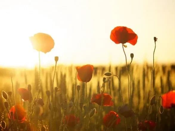 Синоптики дали прогноз погоди на завтра