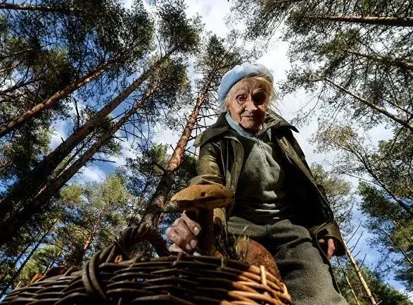 Медики дали поради, як не отруїтися грибами