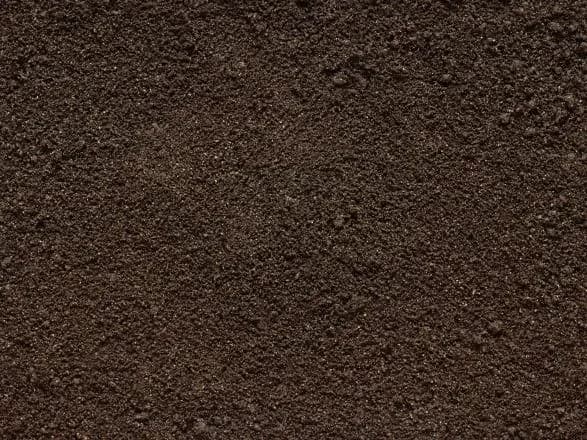 Якість ґрунту погіршується через вплив забруднення на дощових черв’яків - дослідження