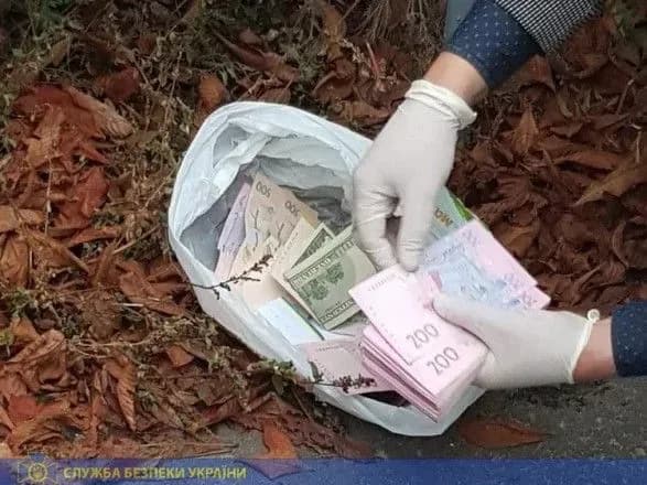 Чернігівського митника затримали за мільйонну оборудку з нелегальним імпортом