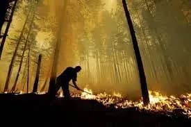 В Україні утримається надзвичайна пожежна небезпека