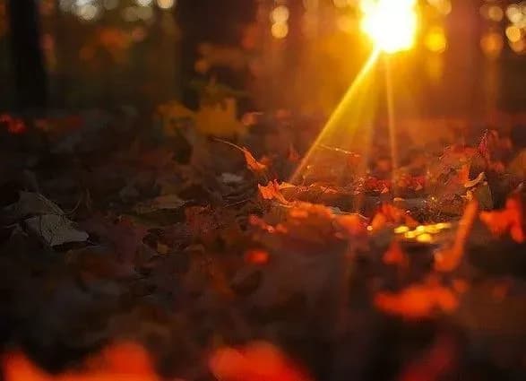 В Україну повертається тепло до +21, але дощитиме