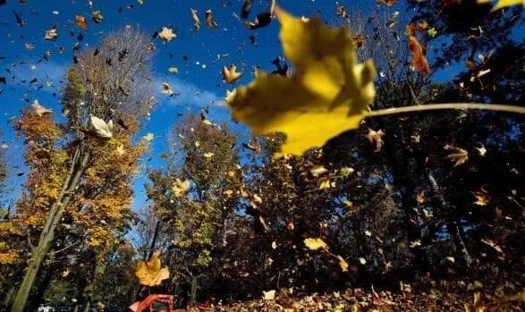 Синоптики рассказали, какой погоды ожидать завтра