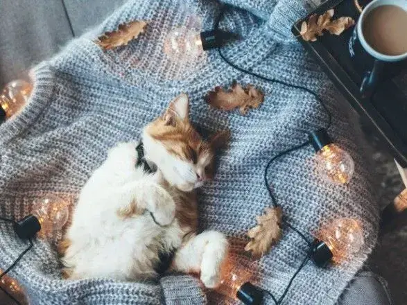 Зима не повернеться до початку наступного тижня - синоптики