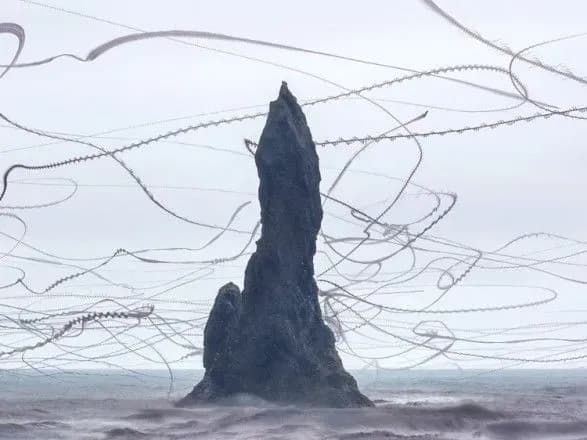 Фотограф з Каталонії показав неймовірні траєкторії польоту птахів