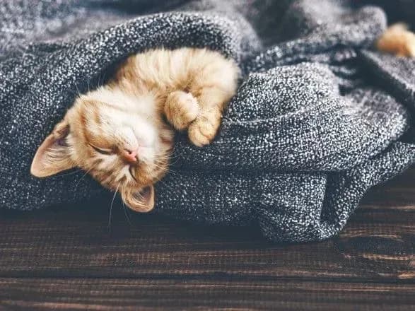 Сьогодні в Україні утримається погода без опадів