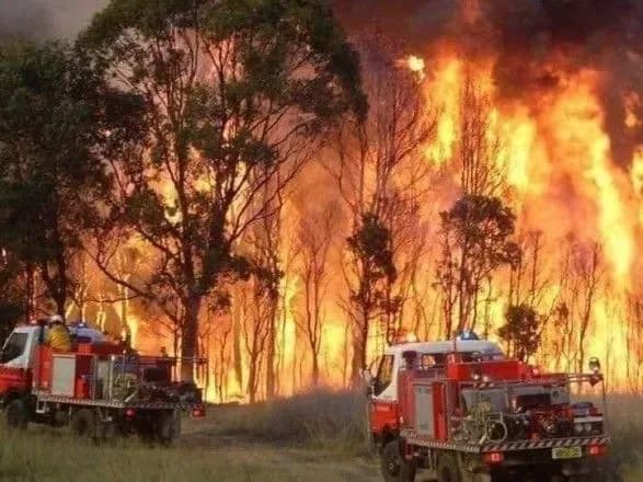 У Венесуелі 12 людей загинули під час пожежі на плантації