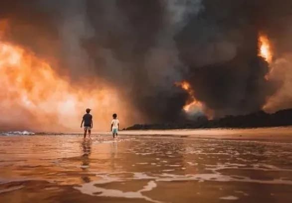 Пожежі в Австралії: наслідки та висновки