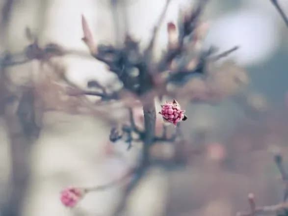 Від 0° до 19° тепла: прогноз погоди на сьогодні