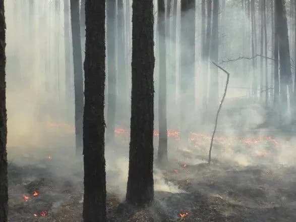 На Житомирщині для гасіння торфовищ залучали авіацію