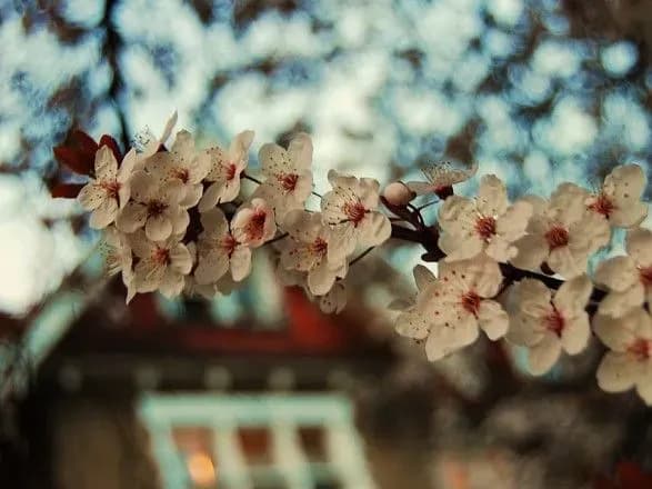 Синоптики обіцяють на початку травня до 27° тепла