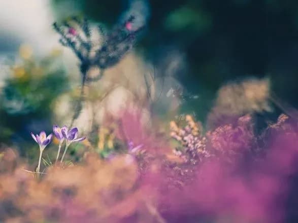 Від 6° до 28° тепла: прогноз погоди на сьогодні