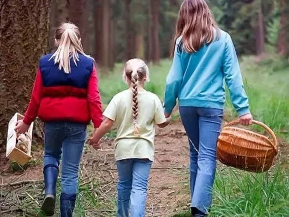 С начала года в Украине 14 человек отравились грибами