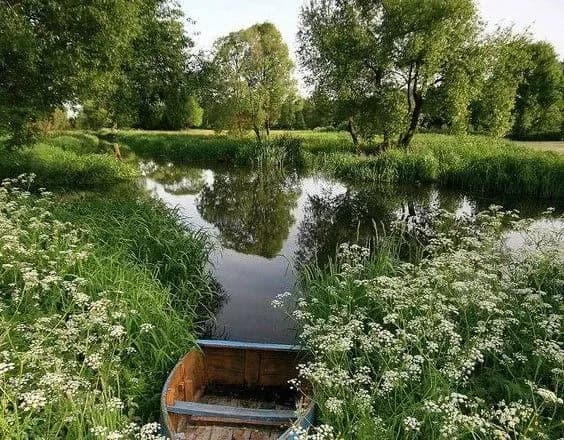 От 11° до 32° тепла: синоптики дали прогноз на выходные