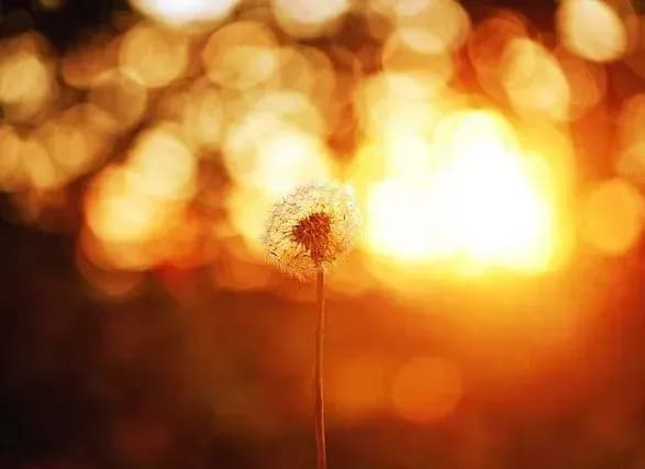 Від 16° до 33° тепла: прогноз погоди на сьогодні