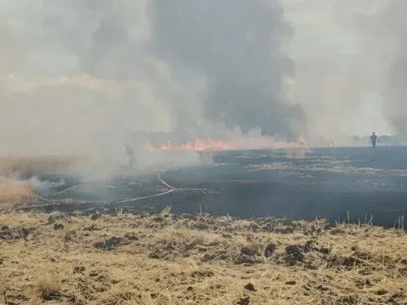 На Харківщині вигоріло 10 га пшениці