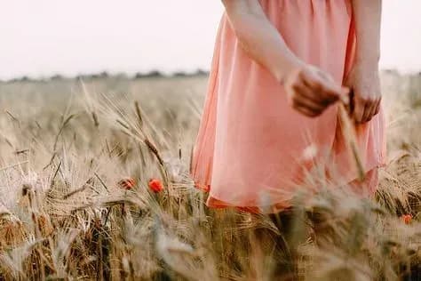 Від 9° до 30° тепла: прогноз погоди на сьогодні