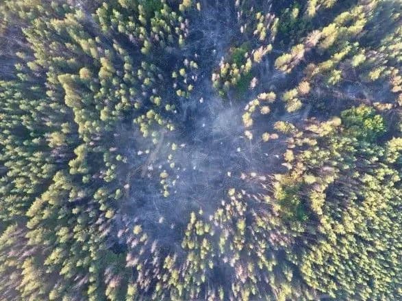 Лісова пожежа на Луганщині: досі тліє суха трава та чагарники