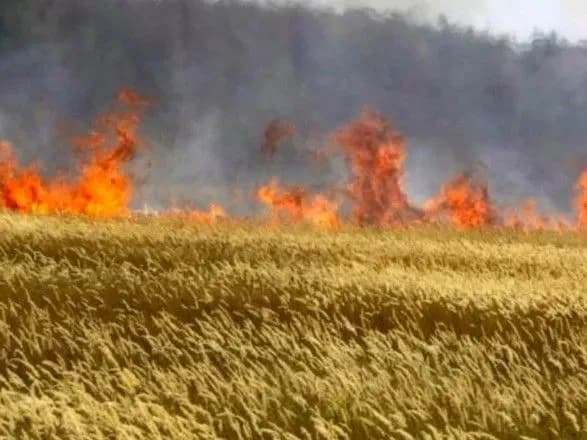 На Луганщині пожежа випалила 40 га пшениці