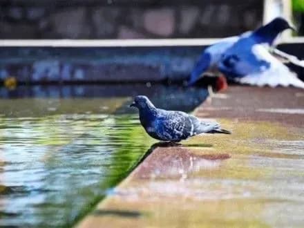 Грози на заході та до +35° на півдні: прогноз погоди на сьогодні