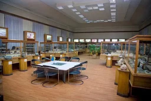 Рада ухвалила законопроект щодо роботи музеїв при вишах