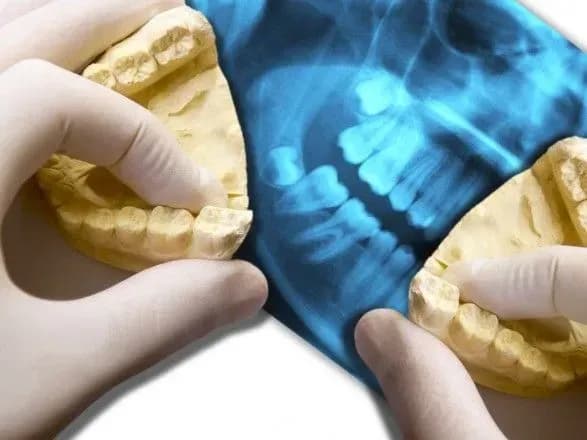 Австралійські вчені виявили нову стадію еволюції людини