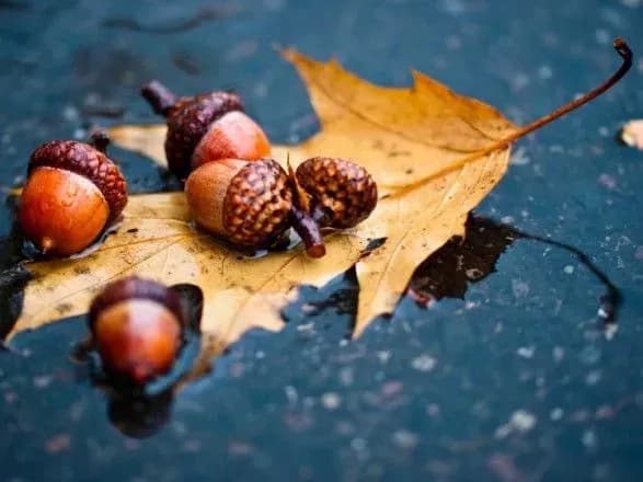 Синоптики дали прогноз погоди на завтра