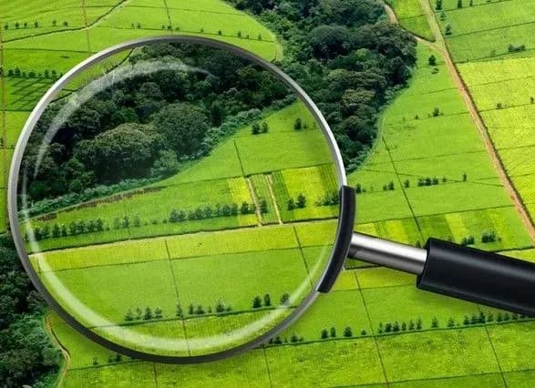 Похибка у понад 5 млн га: в Держгеокадастрі розповіли, скільки землі у державній власності