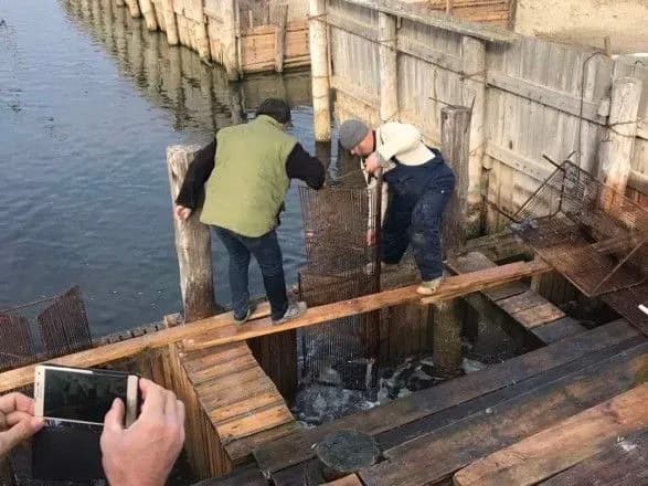 Екологи перевірять факт масштабного браконьєрства на Тузлівських лиманах