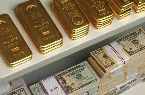 Восьмилетний максимум: международные резервы Украины в 2020 году выросли до 29,1 млрд долларов