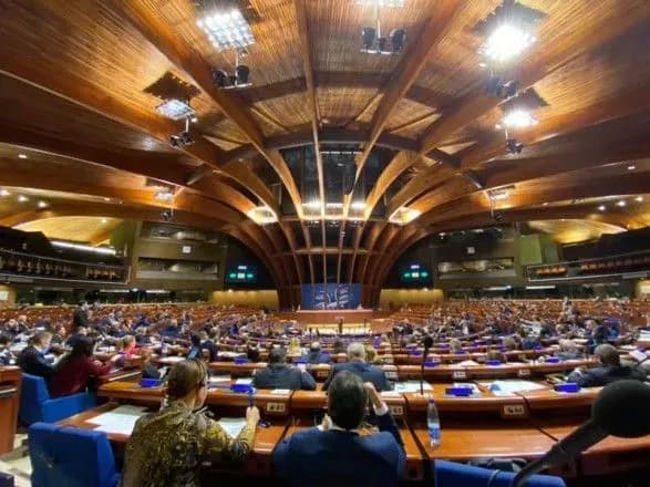 Українська делегація обрала Мережка кандидатом на посаду віцепрезидента ПАРЄ