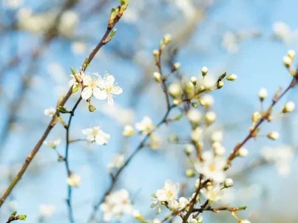 Великодні вихідні: синоптики розповіли якою буде погода 3 та 4 травня