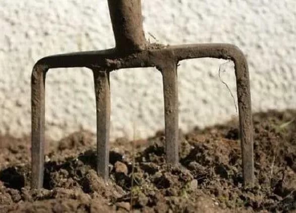 В Одеській області готуються до аграрного рейдерства