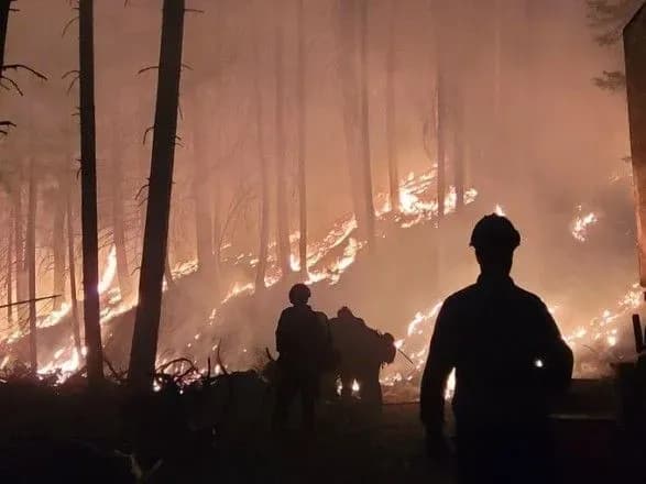 У США природні пожежі охопили понад 470 тис. гектарів землі