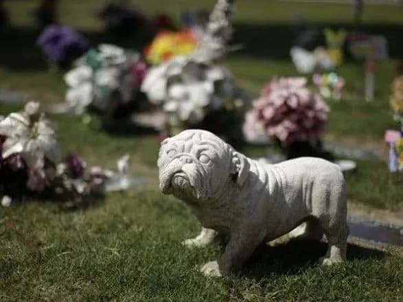 З початку року у Києві було кремовано понад 200 тварин