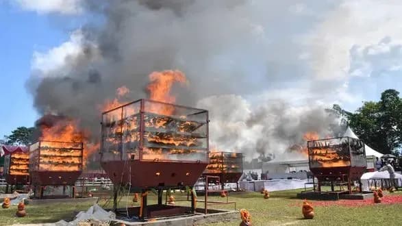 В Индии сожгли почти 2 500 рогов носорога, чтобы привлечь внимание к сохранению вида