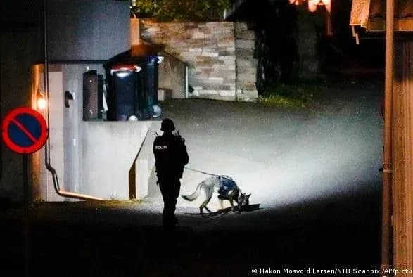 В Норвегии возросло число жертв после нападения мужчины с луком