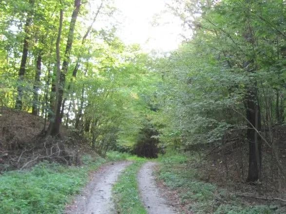 Поліція менше ніж за годину розшукала заблукалих туристів у заповіднику на Київщині