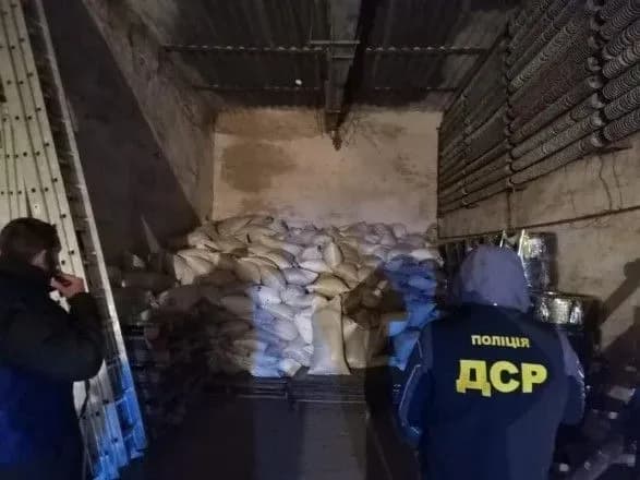 На держпідприємстві під Сумами таємно вирощували канабіс: вилучили рекордні 5,5 тонн