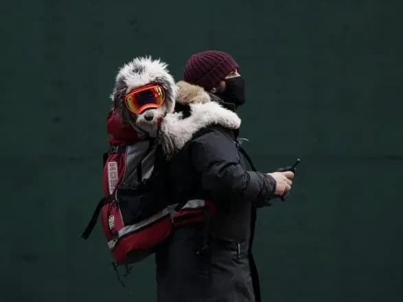 Коронавірусною інфекцією у світі захворіло майже 260 млн людей