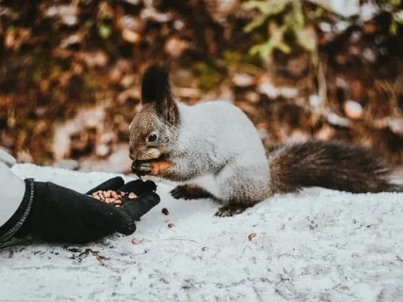 Ожеледиця та до 9° тепла: прогноз погоди на сьогодні