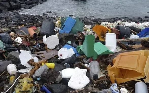 Всеукраїнська еколіга заявила про незадовільний екологічний стан Чорного моря та основні ризики