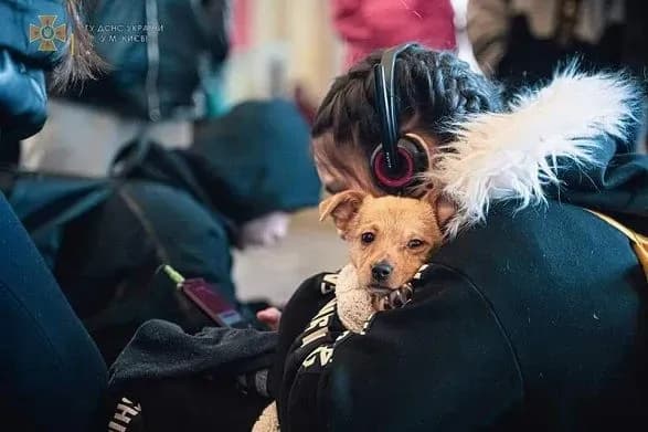 ООН: кількість біженців з України на тлі війни перевищила 4,2 мільйона