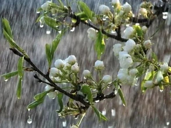 В Украине идут грозы и потепление: синоптики обещают до +22° уже завтра