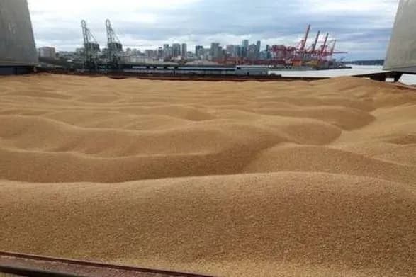 Вивезення викраденого рф українського зерна через окупований Крим: розпочато кримінальне провадження