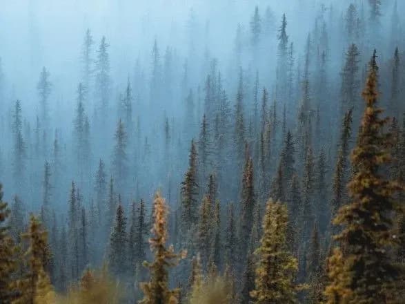 Не мріють повернутися з України живими та готові ховатися в тайзі: чергове перехоплення розмов окупантів