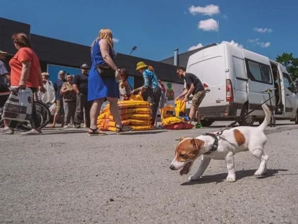 Як Pets Patrol годує та рятує тварин в Україні