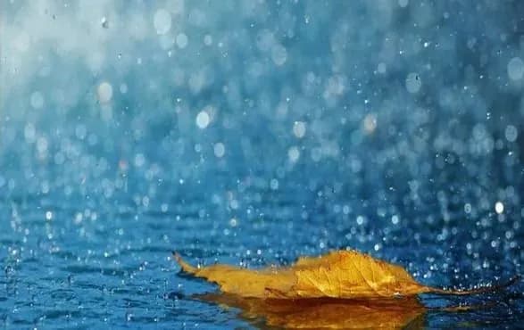 Гроза і вітер. У Києві очікується погіршення погоди